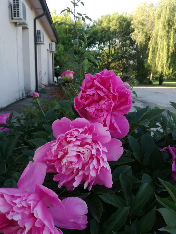 Agriturismo Boschi 레기올로 외부 사진
