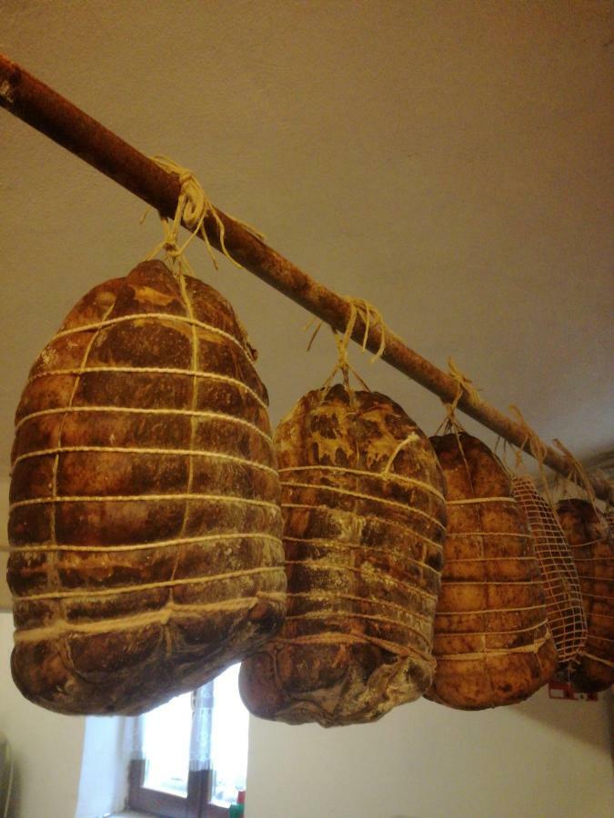 Agriturismo Boschi 레기올로 외부 사진